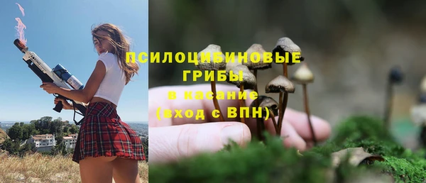 mix Саяногорск
