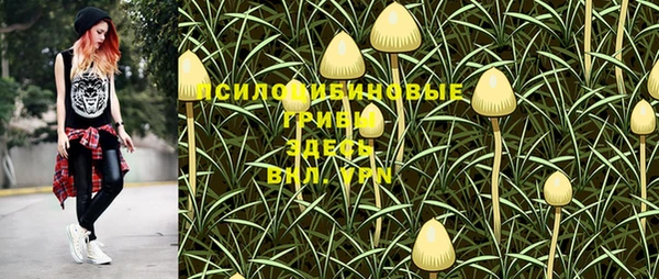 ГАЛЛЮЦИНОГЕННЫЕ ГРИБЫ Алзамай