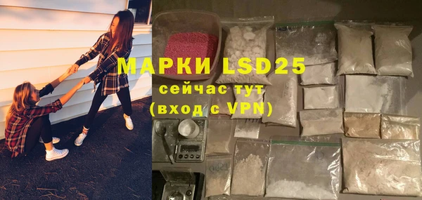 ГАЛЛЮЦИНОГЕННЫЕ ГРИБЫ Алзамай
