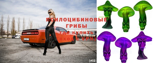 ГАЛЛЮЦИНОГЕННЫЕ ГРИБЫ Алзамай