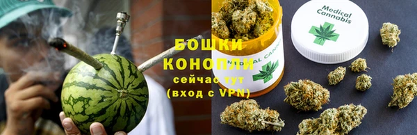 ГАЛЛЮЦИНОГЕННЫЕ ГРИБЫ Алзамай