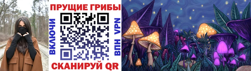 omg онион  Кизел  Галлюциногенные грибы Psilocybine cubensis 